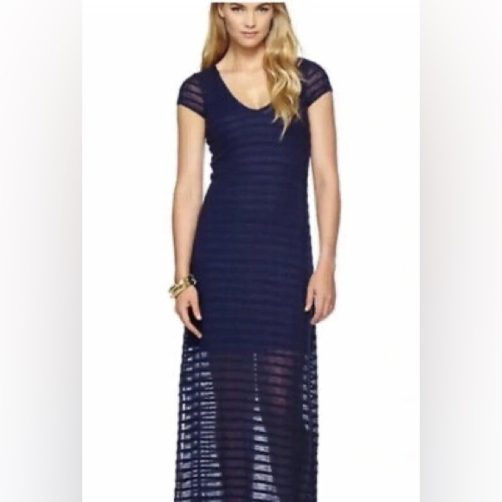 Elegant Navy Blue Striped Maxi Dress